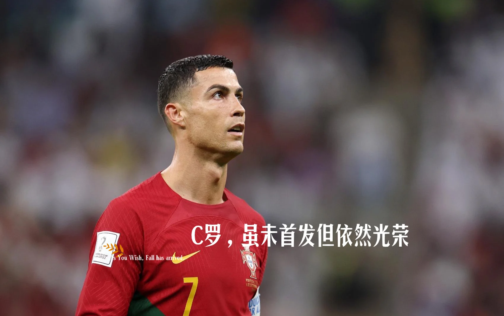 阿扎伦卡重要时刻战术调整，瑞士队带队取胜！开云体育苹果版安装包